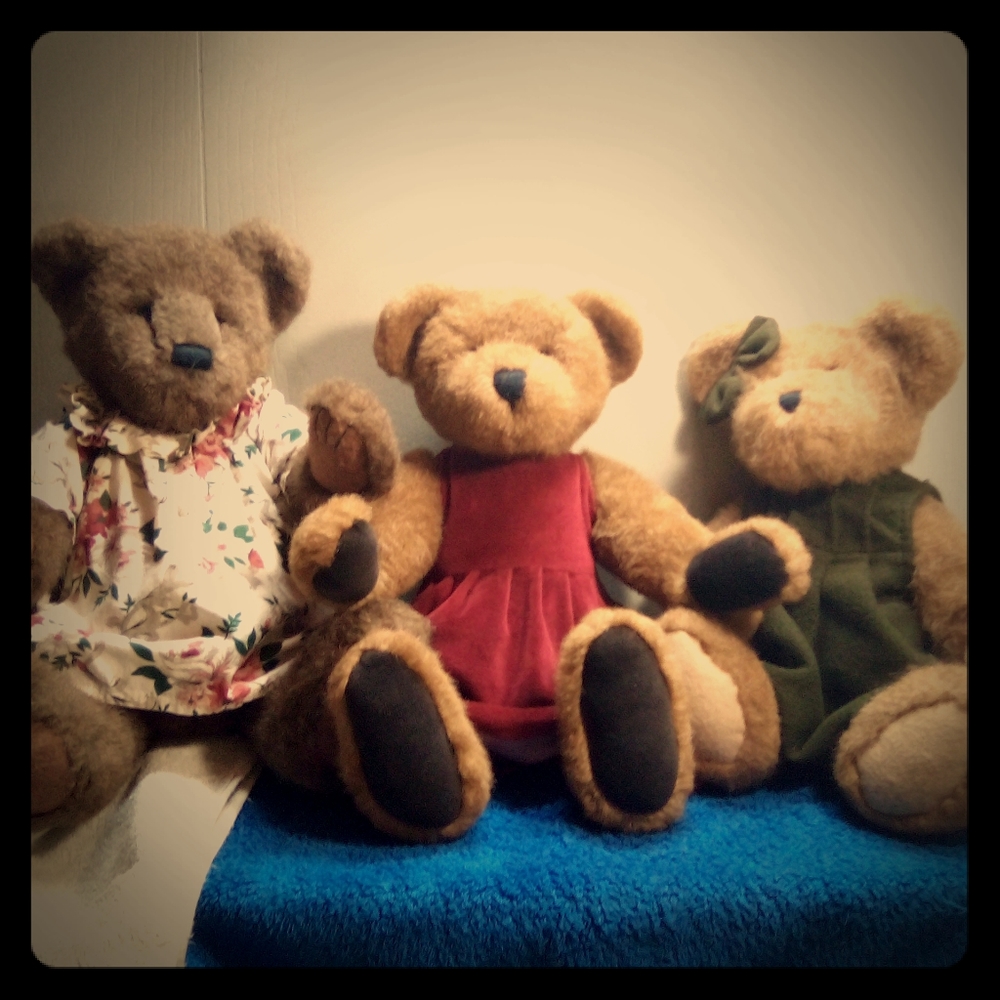 Boyd bear s